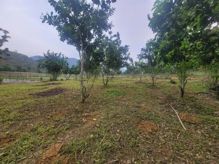 Chỉ 550k/m2 đất tại kim bôi hòa bình, cách đường liên huyện 500m. bên cạnh có homestay hoạt động