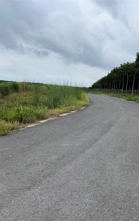 Bán đất đường số 12 nha bích, 4000m2, lô góc 2 mặt đường nhựa 8m
