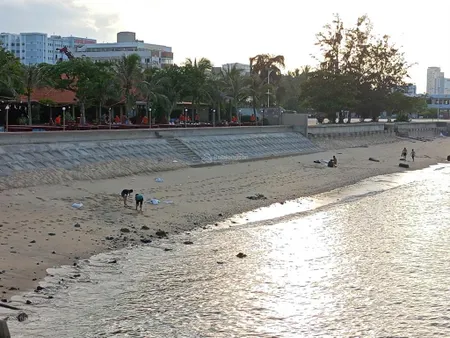 Bán lô đất gần biển trần phú, vĩnh nguyên, nha trang. dt 329m2, ngang 10.6m. giá bán 99 tr/m2