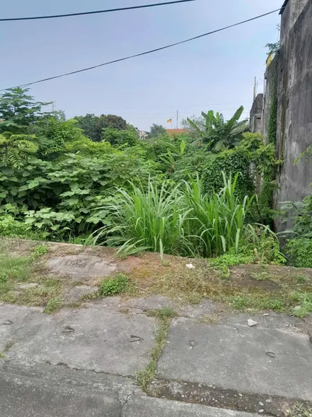 Khu vực đông dân, ngay ngã 3
