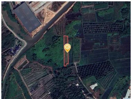 Bán đất 1473m² giá 3.1 tỷ Phường Phú An