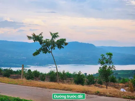 Ngộp Bank Chạy Khắp Nơi Mãi Không Đủ Cần Bán Ngay 1006m2 Ven Đà Lạt View Hồ Chỉ 399tr