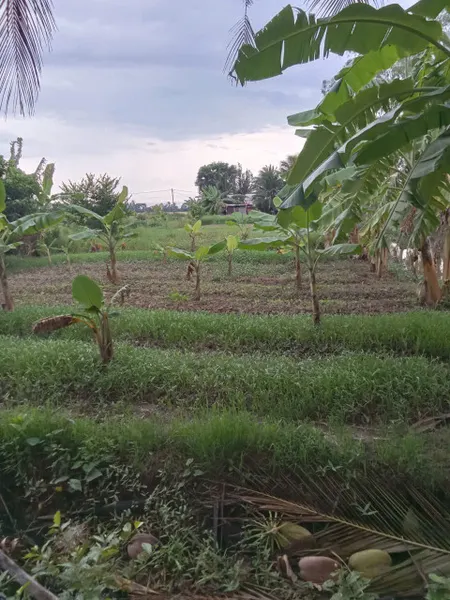 ĐẤT ĐẸP - GIÁ TỐT - Bán GẤP Lô Đất Tiềm Năng Tại Đường Lương Đình Của, Phường 5, TP Sóc Trăng