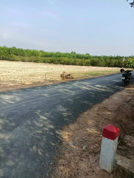 Chính Chủ Cần Đất Trồng Cây Lâu Năm Vị Trí Đẹp Tại Tây Ninh