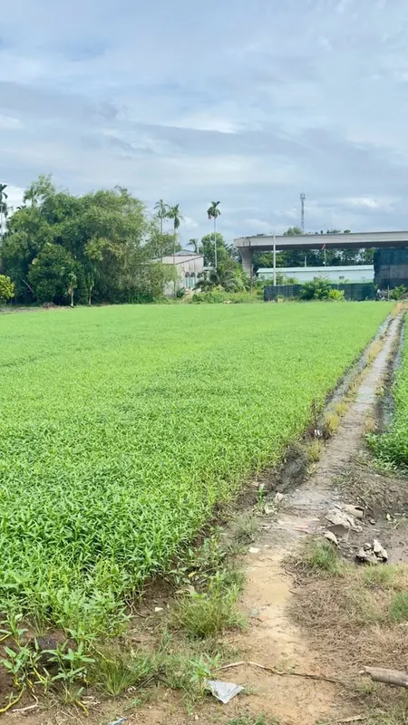 Bán đất 1599.8m² ngang 16m giá 15.9 tỷ Xã Bình Mỹ