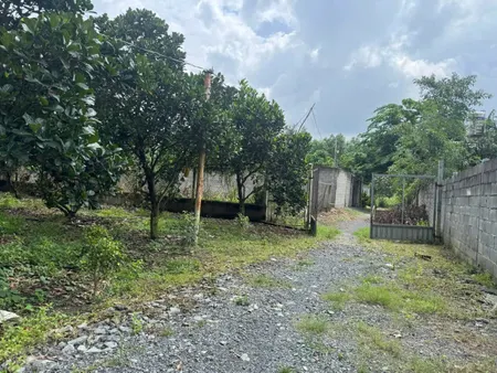 Vườn Mít Bình Lợi Vĩnh Cửu Diện tích : 2000m2 ( 27 x 75 )