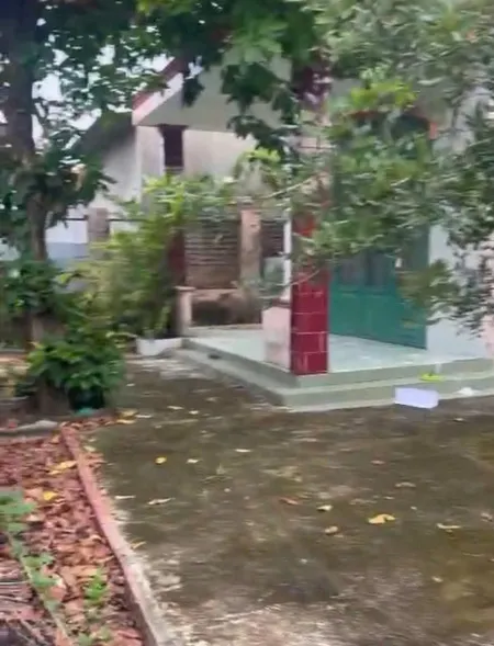 452m2 Thổ Cư( 21x21 )vuông vức. Tân Triều. phân lô tách thửa được 5 lô