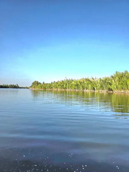 Siêu phẩm ven sông Phước khánh phù hợp với khách thích làm nhà vườn