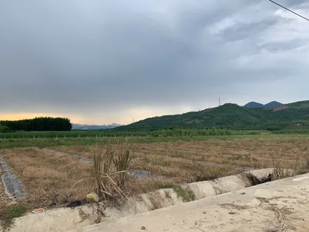 Cần ban nhanh lo đất trông cây 3 măt tiên, cuối đương Đồng Khởi- đầu Diên Lâm giá rẻ nhất khu