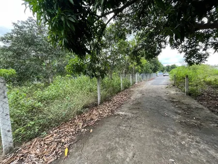 ĐẤT MẶT ĐẦM THUỶ TRIỀU CAM LÂM