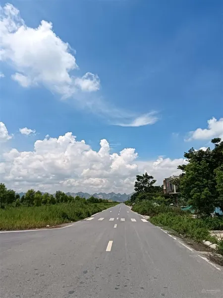 Bán gấp 3ha đất công nghiệp tại thanh ba, phú thọ. 600k/m2. cty may bao bì. 0976 108 ***