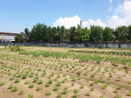 Bán đất thương mại dịch vụ 5806m2 tỉnh lộ 830 tỉnh tây ninh