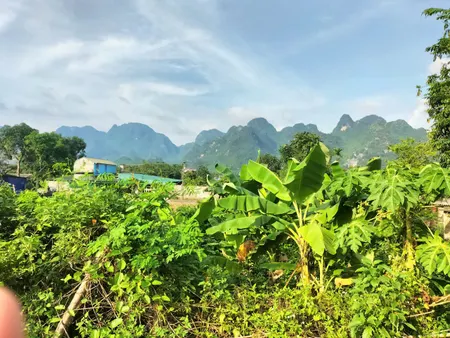 1260m ngay trung tâm thị trấn giá rẻ chỉ 3tr/m chính chủ bán gấp Kim Bôi Hòa Bình