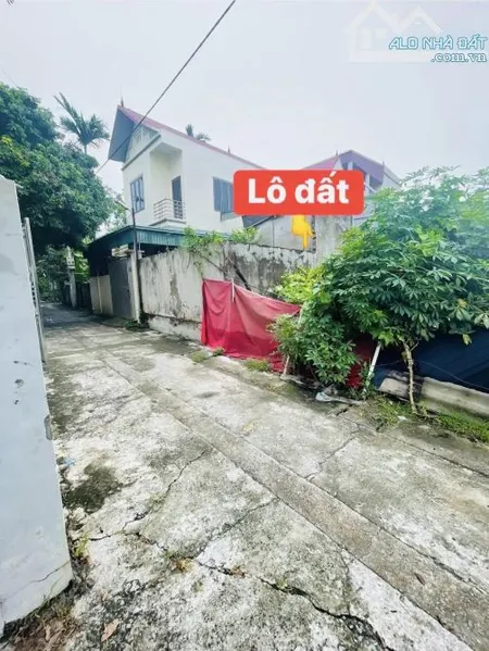 81.5m thanh phần - Phúc Hòa - Phúc Thọ Hà Nội