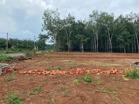 ĐẤT ĐẸP LONG HÀ- ĐỒNG NAI