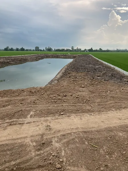Đất chính chủ, diện tích 4197.8m2, rộng 40m, đường vào đất 6m, đã lên liếp sẵn, tại Mỹ Hội Đông, Chợ Mới, An Giang.