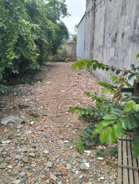 Bán đất 5x30m thổ cư, 1/ Bờ Chùa, Tân Quý Tây, giá đầu tư