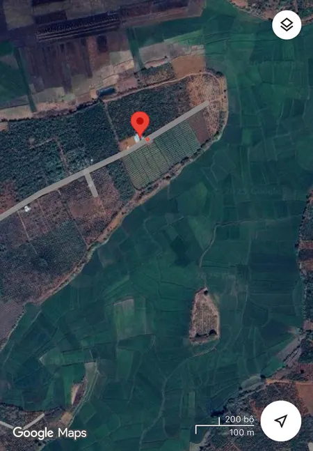 🌳 2,8ha rẫy cà phê hiện có tổng 3700 cây cà phê tốt