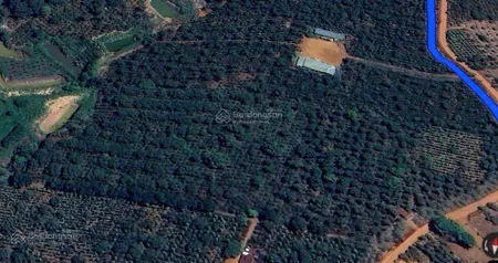 Bán đất rẫy chính chủ 3hec1 ( hồ nước 2700m2), đường ô tô 4,5m