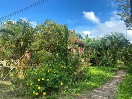 Đầu tư ngay sở hữu đất 1000m2 + bungalow khai thác kinh doanh