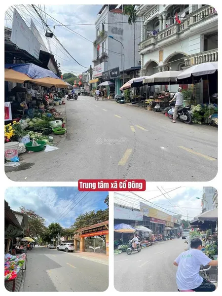 Cổ đông bán lô đất mặt đường trục chính cách trục hồ tây ba vì 100m, cách ql21 800m