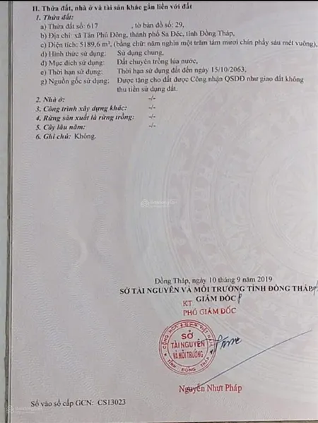 Bán gấp 5189.6m2 đất lúa, đất tp sa đéc, gần trường nguyễn đình chiểu, nhà hàng sa đéc xưa