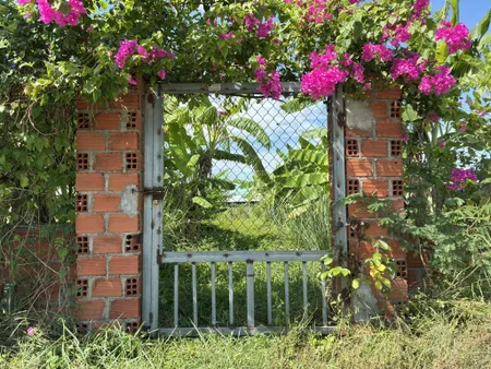 Bán lô đất vườn 567m2, 395tr ạ