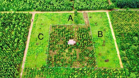 Bán đất 5493.9m² ngang 5m giá 268 triệu Xã Dray Bhăng