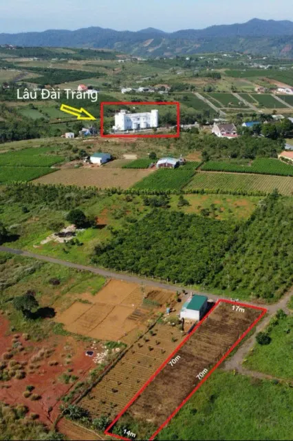 Cắt Đôi Nỗi Sầu DÌ chơi Hội Vỡ Trận Cần Bán Gấp 1100m2 đối diện Lâu Đài Trắng Chỉ 311tr