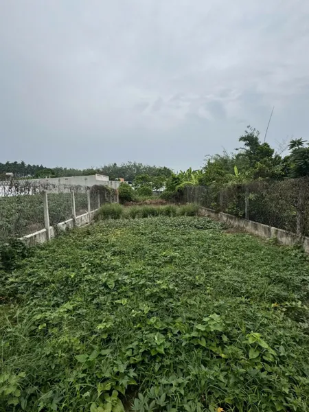 BáN ĐẤT THỔ CƯ GIÁ RẺ TẠI GÒ DẦU. TÂY NINH
