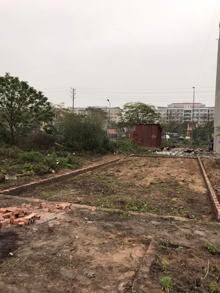 Bán đất phân lô tái định cư Kiêu Kỵ/Gia Lâm,Hà Nội 80m2 mt4.5m đường 11m, cực thoáng.