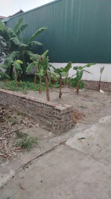 Bán đất 65m² ngang 3,99m giá 7.61 tỷ Xã Đông Anh