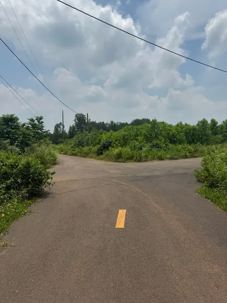 Chủ cần bán 2 sào đất cây lâu năm đường nhựa tim vàng hoà bình xm củ