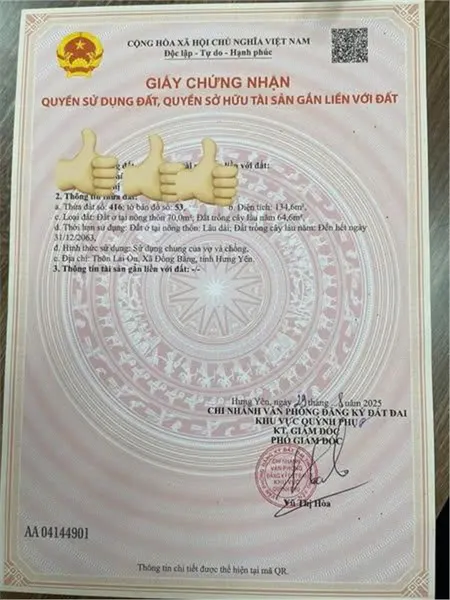 ĐẤT CHÍNH CHỦ - MẶT TIỀN Đường Trục Chính Thôn Lai Ổn, Xã An Quý, Quỳnh Phụ, Thái Bình