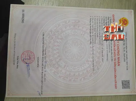 SIÊU PHẨM ĐẤT ĐẤU GIÁ – LÔ GÓC QUÉO NGỌC ĐÌNH, DÂN HÒA, THANH OAI, HÀ NỘI