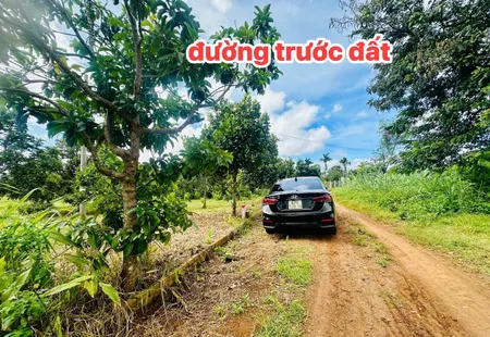 Bán đất 190m² ngang 5,5m giá 239 triệu Xã Phú Xuân