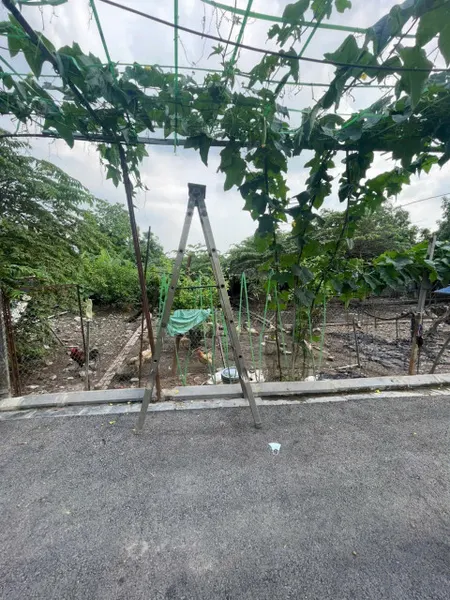 Bán đất 67m² ngang 4.6m giá 8.44 tỷ Xã Đông Anh
