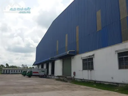 Cho thuê kho xưởng 4000m2 đường Trần Đại Nghĩa, Bình Chánh.