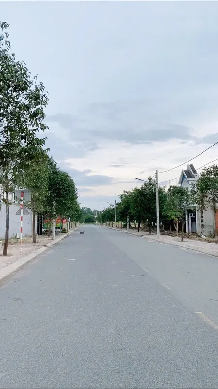 Sát QL13 đất thị trấn giá chỉ 980tr lh 0902549011