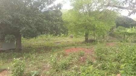 Bán đất 5776.6m² ngang 50m giá 4.5 tỷ Phường Bắc Nha Trang 19/9/2025