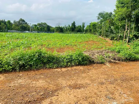 Bán đất 282.7m² ngang 10m giá 530 triệu Xã Ea Ktur 19/9/2025
