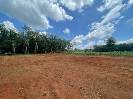390m2 mặt tiền đường nhựa tại Phú Riềng, Bình Phước