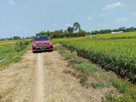 (L790) Đất 1/ Quốc Lộ 22, xã Phước Thạnh, dt 3.500m2, giá 5 tỷ 500 thương lượng
