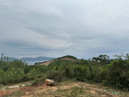 Bán đất tại thôn xuân trang, xuân sơn, 38 tỷ, 18146.3 m2, view đẹp, nhiều tiện ích
