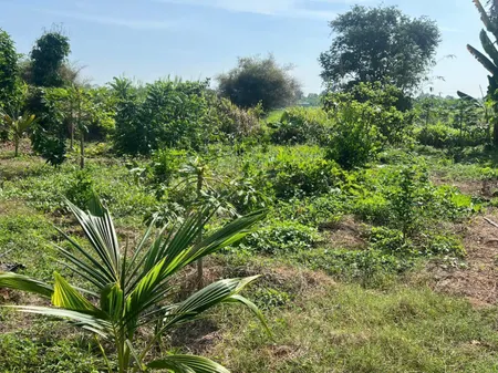 Bán lô đất bao đẹp tại Quốc lộ 91, Mỹ Phú, Châu Phú, An Giang, 23 tỷ, 1200m2