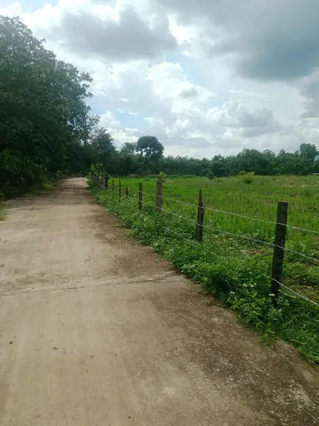 Bán đất 23000m² ngang 130m giá 7.7 tỷ Xã Lộc Quang
