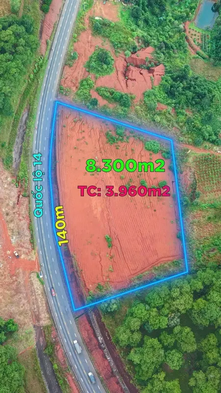 Siêu phẩm được bao quanh bởi rừng thông quanh năm mát mẻ có 1 không 2