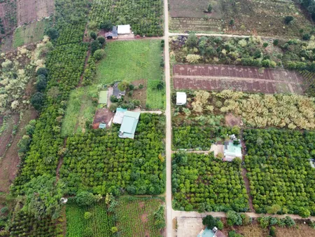 🌿 CHÍNH CHỦ CẦN BÁN 7 SÀO ĐẤT ĐÔNG THANH – LÂM HÀ 🌿