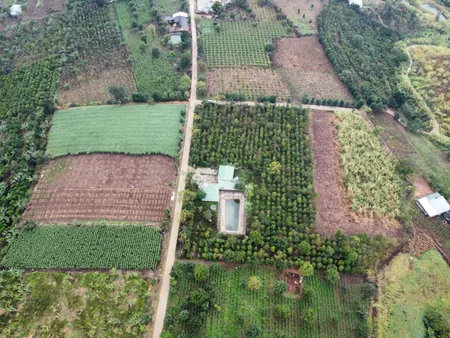 BÁN ĐẤT ĐÔNG THANH, LÂM HÀ CÓ NHÀ CẤP 4 – VƯỜN TIÊU – HỒ NƯỚC TƯỚI