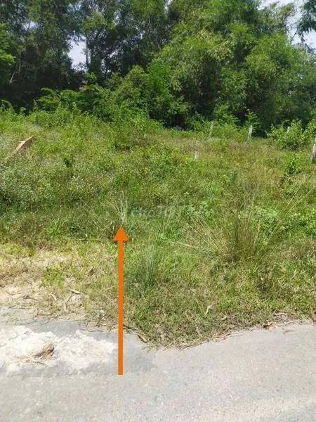 Bán đất 88.2m² ngang 5m giá 1.45 tỷ Xã Thái Mỹ